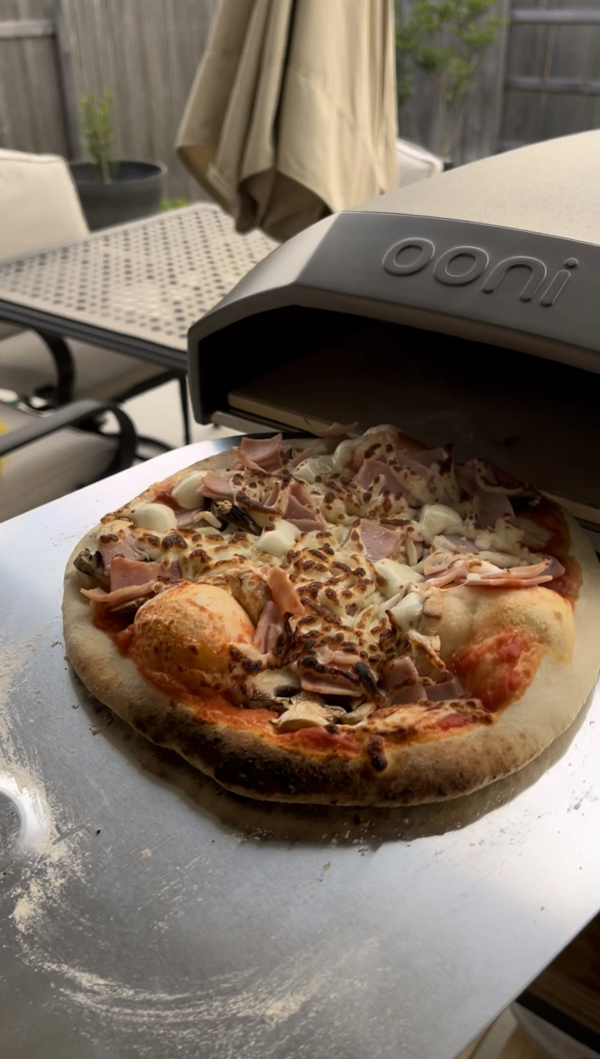 Neapolitan Style Pizza Dough
